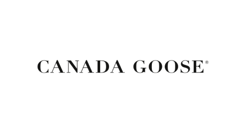 canada goose 1